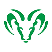 RAM- Green (1).png